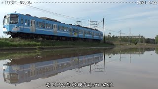 水田と近江鉄道：逆光の世界・朝　（2015.4/22）　　　　　　　　　　　巛巛