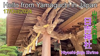 Local Shrine【Hiyoshi-jinja Shrine】Yamaguchi City　17/Oct/2024