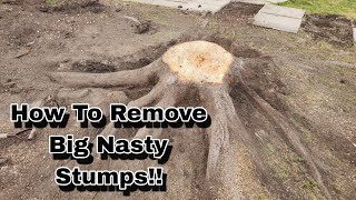 How To Deal With A Nasty Tree Stump!