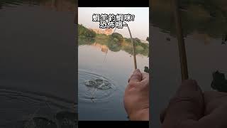 新蝦竿出場只釣今天 好可怕~#fishing