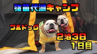 犬『ブルドッグ』ブレア＆ダイが猪苗代湖でキャンプ。２泊３日の１日目