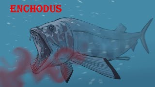 Enchodus