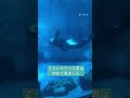 アース君おちん〇ん出して急に泳ぎだした　名古屋港水族館 shorts