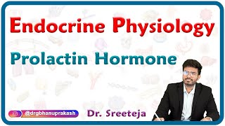 Prolactin Hormone : Endocrine Physiology USMLE Step 1