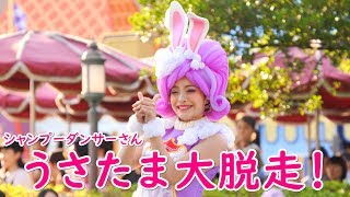 うさたま大脱走！ ～シャンプーダンサーさん～ 2019/5/11