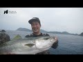 ＃72 九州南部の海のポテンシャルが高すぎた【ロックショア釣り】