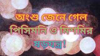 অংশু জেনে গেল পিসিমনি ও মিশমির ষড়যন্ত্র!