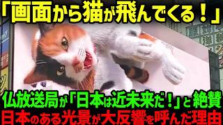 【海外の反応】「この技術力を日本人はスルーするのか！」フランスのテレビスタッフが日本で取材中に渋谷の３D広告を発見し緊急報道