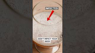 Cleaning vs Sanitizing: The Homebrew Difference That Makes or Breaks Your Beer