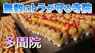 かわいい虎に囲まれた寺院【所沢多聞院】