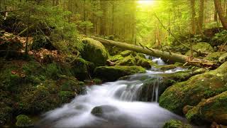 Beautiful Instrumental Hymns about the Peace and Comfort of God | Relaxing, Soothing, Peaceful