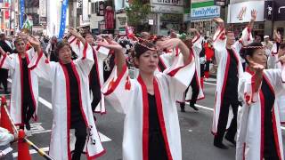 第１８回渋谷　鹿児島おはら祭り　パレード2015