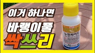 [도탈남] 제초제 아는만큼 풀이 잘 죽는다. 밭의 무법자 바랭이풀, 한 놈만 패는 제초제, 선택적제초제, 탁월한 제초제, 친환경제초제, 바랭이풀싹쓰리