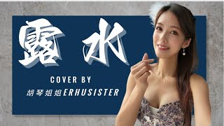 🫧露水-三立戲劇珍珠人生片尾曲🫧D調key-二胡Erhu cover Erhusister