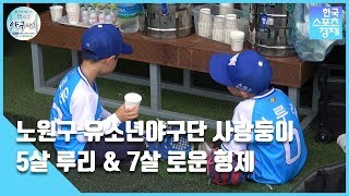 [영상-오늘의 TMI] 노원구 유소년야구단 사랑둥이 5살 이루리 \u0026 7살 이로운 형제 인터뷰ㅣ대한유소년야구연맹