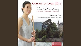 Flute Concerto in B Minor, Op. 17 (Op. 30) : I. Allegro maestoso