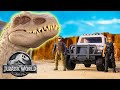 Dino Trackers To the Rescue 💥🦖 + More Jurassic World Adventures! | Mattel Action!