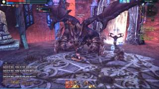 TERA Online first boss fight