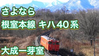 【さよなら根室本線キハ40系】 JR北海道 根室本線 キハ40 大成ー芽室 JR Hokkaido Local Train Kiha 40 Series Last Run[4K]