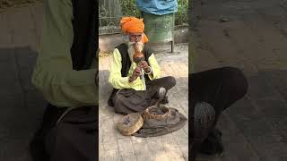 Snake Charmer in Delhi