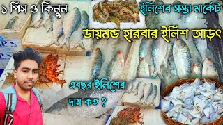 Diamond Harbour Ilish Market । Nagendra Bazar Fish Market । Diamond Harbour Fish Market ।