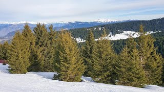 1. Ski Area Alpe Cimbra (Folgaria, Lavarone)