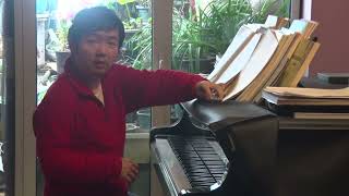 Wenyu Shen plays Rachmaninoff Piano Concerto No.2 (Lugansky CD)