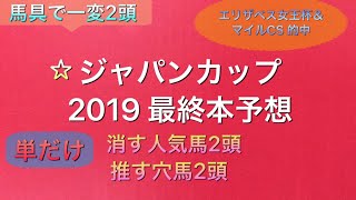 【競馬予想】　ジャパンカップ  2019 本予想