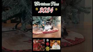 🎁✨Watch This and Instantly Feel the Christmas Spirit! 2024 🎅🎄