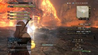 ドラゴンズドグマ オンライン　［DDON］イフリート弟２形態用にチャン攻アビ積んだらヤバイ事にｗ