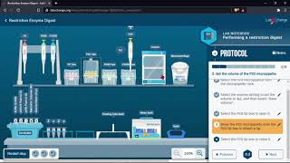 Restriction Enzyme Digest with LabXchange