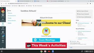 Canvas: Google Doc External Tool Assignment