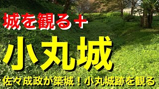 【城を観る＋】《小丸城（越前国）》2021 〜佐々成政が築城！小丸城跡を観る〜