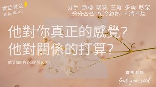 塔羅占卜✨實話實說 tarot 👉他對你真正的感覺?👉他對關係的打算?👉他隱藏的真心話? 字卡💕(分手/斷聯/曖昧/三角/多角/分分合合/忽冷忽熱/吵架/冷戰)💖3選1⏲無性別\u0026無時間限制 #日玥塔羅