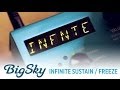 Strymon BigSky Reverb - Infinite Sustain / Freeze demo