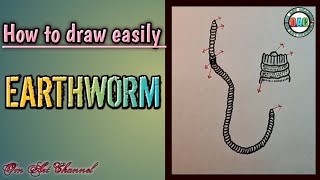 earthworm drawing/earthworm diagram/how to draw earthworm/morphology and anatomy of earthworm