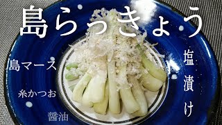 島らっきょう塩漬けの作り方