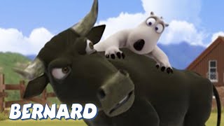 Bernard Bear The Bullfighter AND MORE | 30 min Compilation | Cartoons for Children