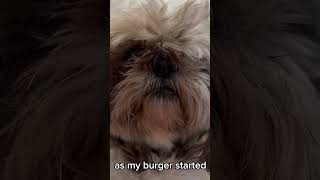 It was funky burger #dogs