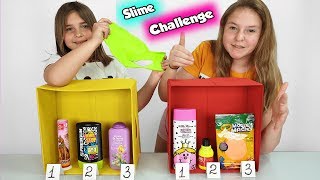 Choose The Best Don't Choose the Wrong Ingredient Slime Challenge !