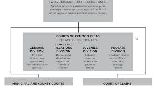 4.6.1 Practice ~ Your State Court System (Ohio)