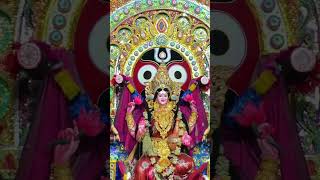 Betada laxmi puja. #trending#shorts