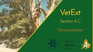 VetExt / Section 4 C / Veteranisation