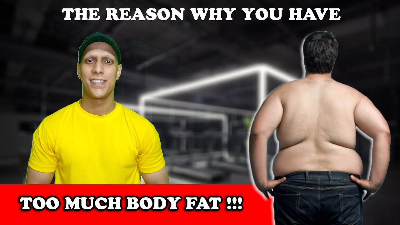 The Reason Why You Have TOO MUCH BODY FAT !!! - YouTube