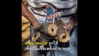 Climate Change | คุณจะเดิน 8 กิโลเมตร เพื่อทำอาหาร 1 มื้อ หรือไม่?