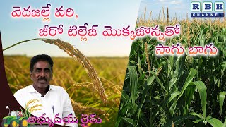 వెద జల్లే వరి, జీరో టిల్లేజ్ మొక్క జొన్న తో సాగు బాగు -అభ్యుదయ రైతు ll శ్రీ మంచినేని నాగేశ్వరరావు