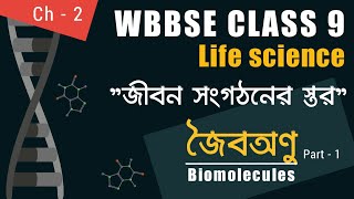 WBBSE, Class 9 life science, Chapter no. 2। জীবন সংগঠনের স্তর - Biomolecules । BotanyTv