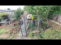Almighty Post-Apocalyptic Garden Nightmare Restored  Helping a Disabled Lady