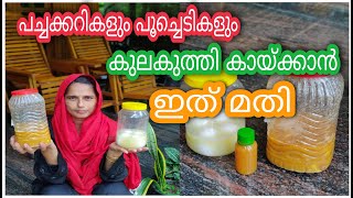 മുട്ട കൊണ്ടുള്ള ഈ വളം മതി പച്ചക്കറികളും പൂച്ചെടികളും നിറയെ കായ്ക്കാൻ | Egg Amino Acid Malayalam |