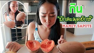 กินบักละมุดยักษ์ - Mamey Sapote